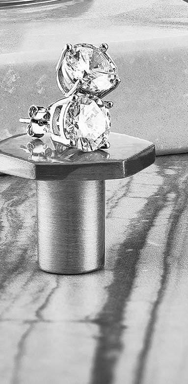 Stunning Skeletons Rose Duo with Signature Pen and Stud Earring