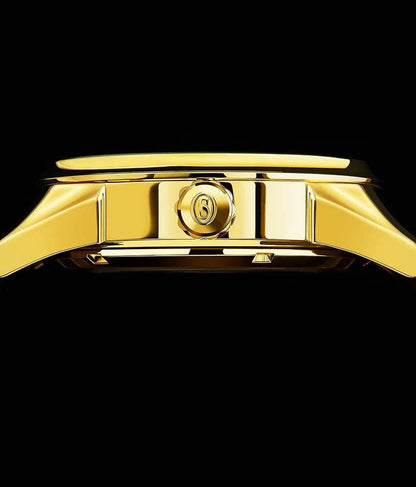 Silver Dial / Gold Case / Brown Band