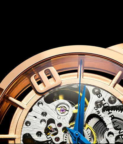 Gold Dial / Gold Case / Brown Band