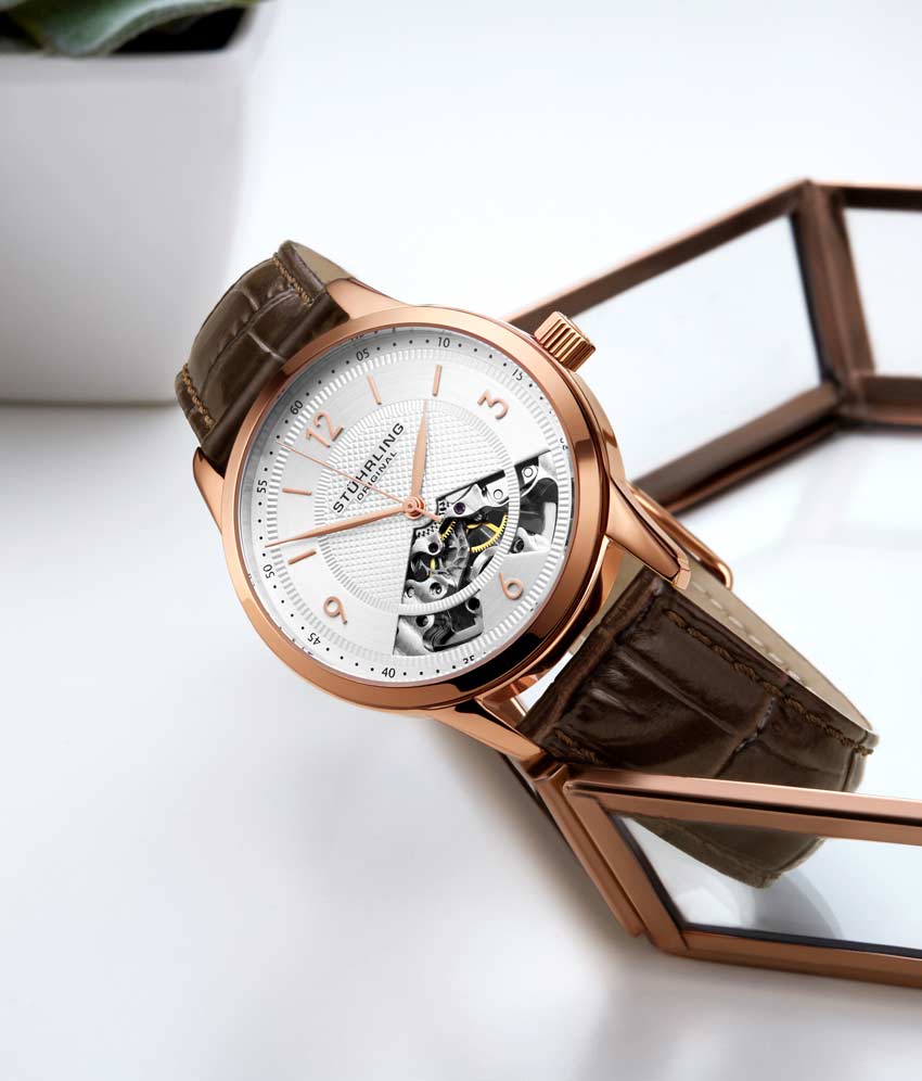 Silver Dial / Silver Case / Brown Band